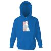 Kids premium hooded sweatshirt Thumbnail